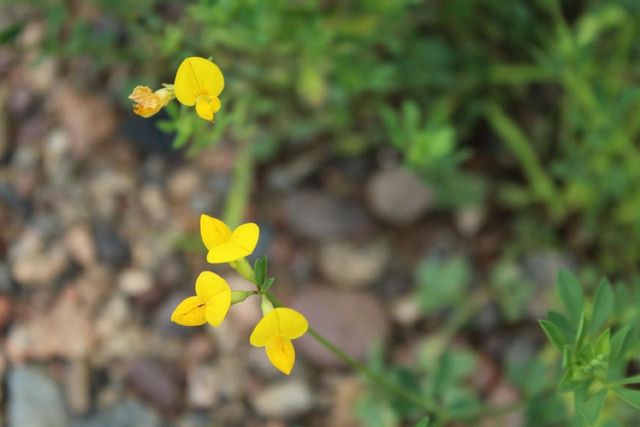 N10660 TOWER ROAD, Phillips, WI 54555