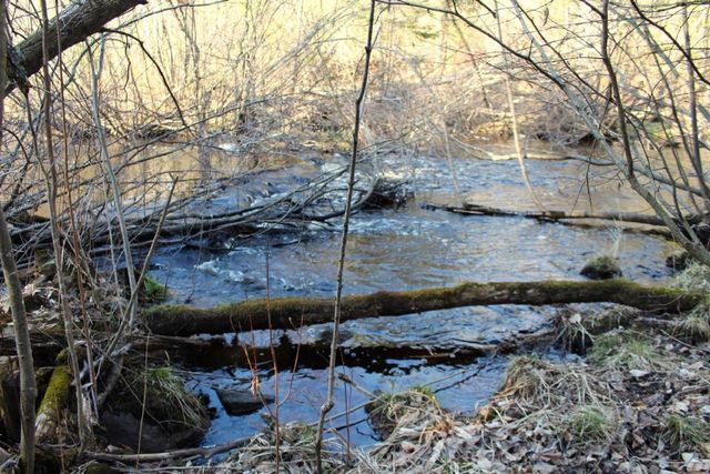 N10660 TOWER ROAD, Phillips, WI 54555