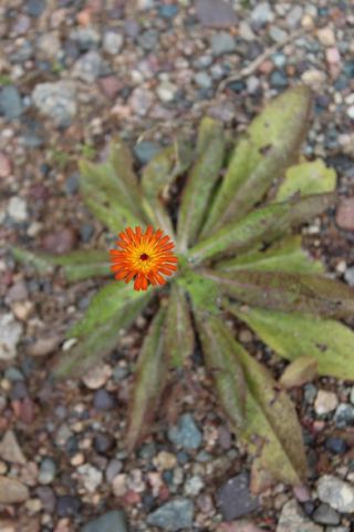 N10660 TOWER ROAD, Phillips, WI 54555