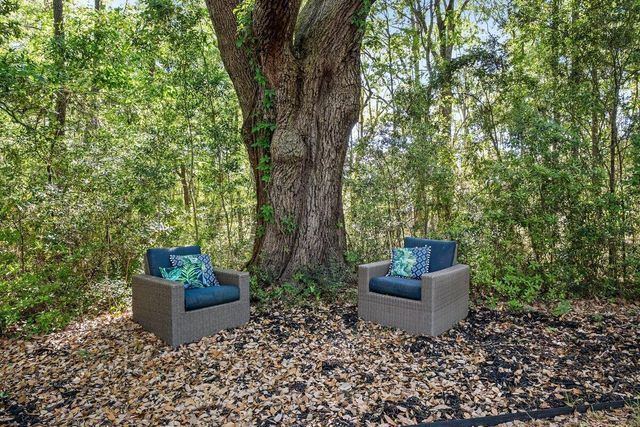 3805 Tim Ascue Lane, Mount Pleasant, SC 29429