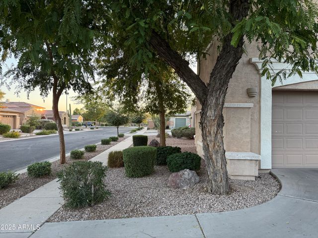 642 E Torrey Pines Place, Chandler, AZ 85249