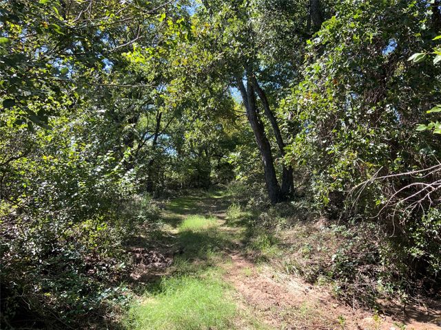tbd County Road 226, Rising Star, TX 76471