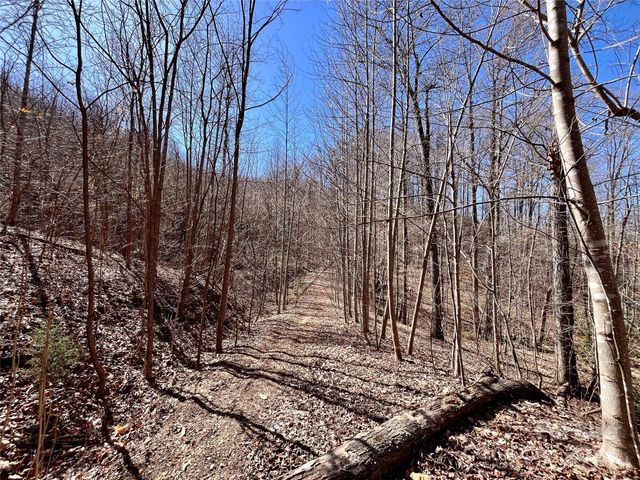 Lot 147 Big View Drive, Marion, NC 28752