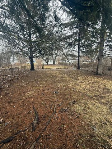 9244 Heyden, Detroit, MI 48228