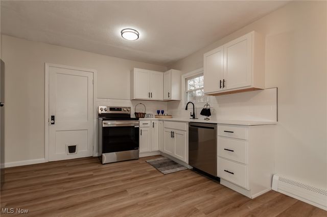 163 Hawthorne Drive, Painesville, OH 44077