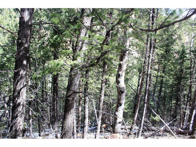 0 Missouri Flats Rd, Central City, CO 80427
