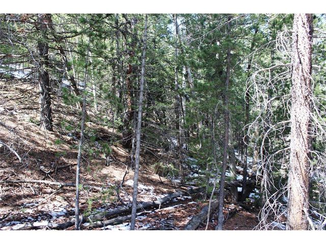 0 Missouri Flats Rd, Central City, CO 80427