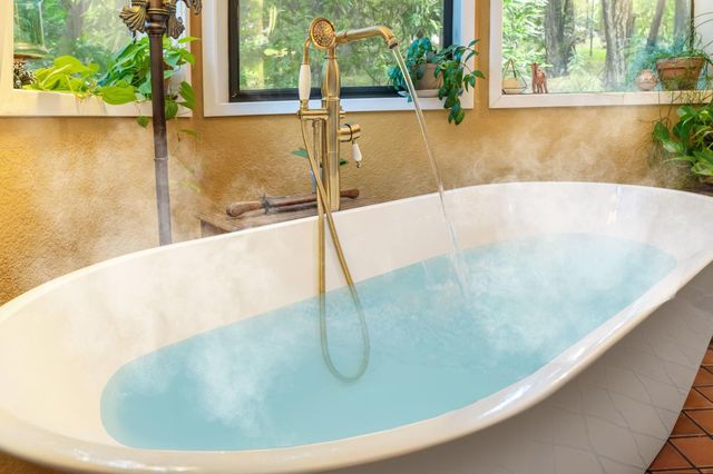 5043 Virginia Bird Mine Ct, Foresthill, CA 95631