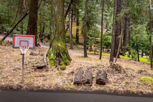 5043 Virginia Bird Mine Ct, Foresthill, CA 95631