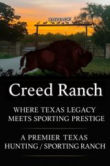 10000 Fm 209, Graham, TX 76450