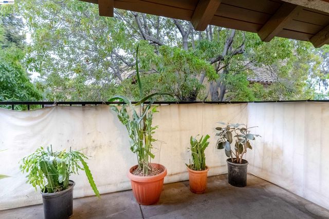247 N Capitol Ave 271, San Jose, CA 95127