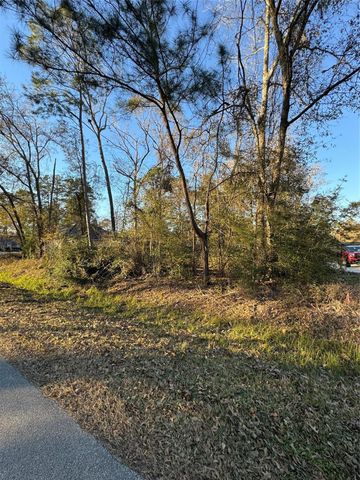 307 Magnolia Bend Drive, New Caney, TX 77357