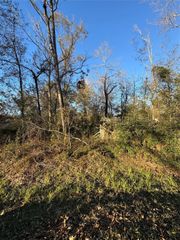 307 Magnolia Bend Drive, New Caney, TX 77357
