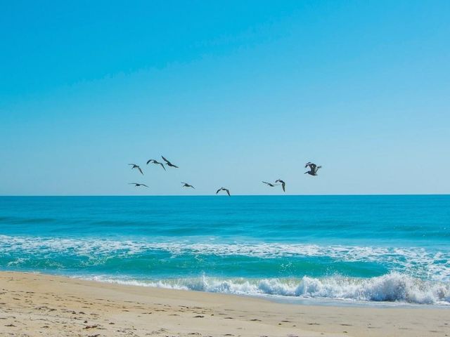 5601 Highway A1a None 206C, Vero Beach, FL 32963