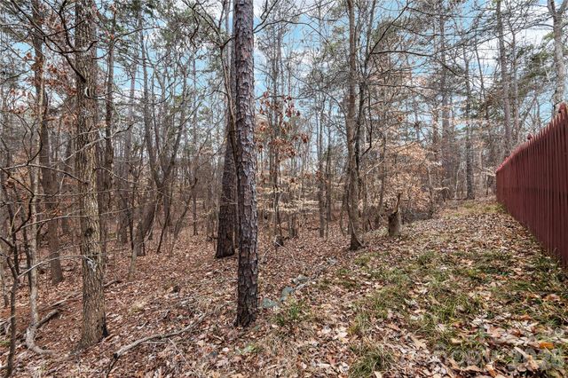 10944 Hellebore Road, Charlotte, NC 28213