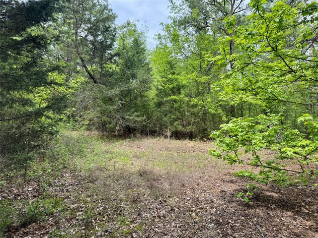 TBD County Road 2742, Naples, TX 75568
