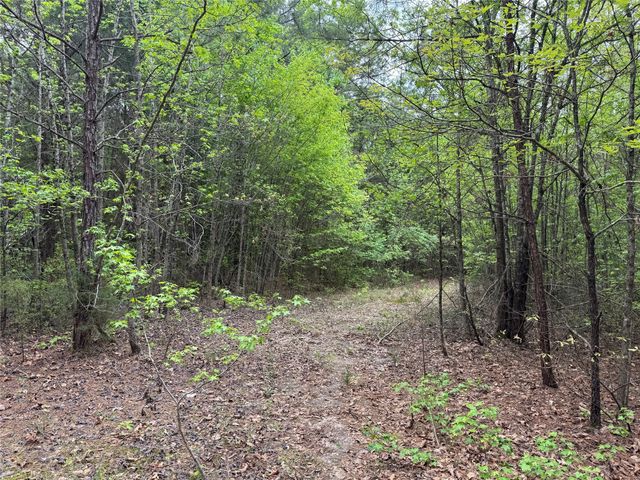 TBD County Road 2742, Naples, TX 75568