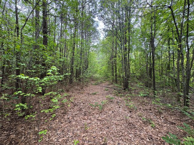 TBD County Road 2742, Naples, TX 75568