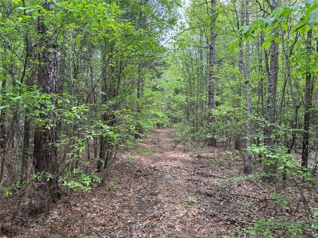TBD County Road 2742, Naples, TX 75568