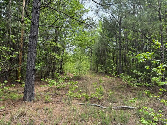 TBD County Road 2742, Naples, TX 75568
