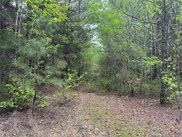 TBD County Road 2742, Naples, TX 75568