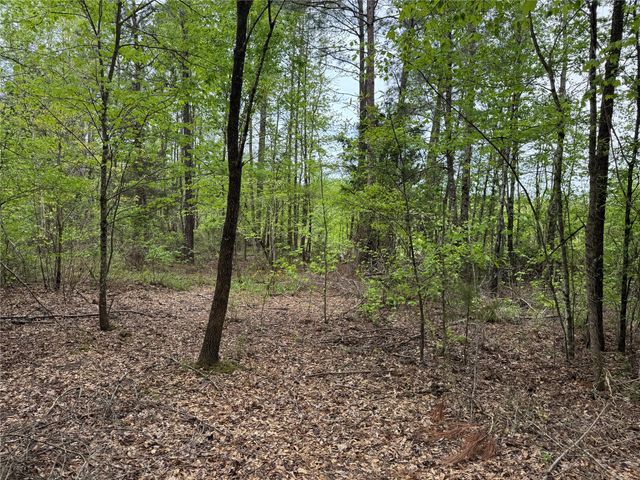 TBD County Road 2742, Naples, TX 75568