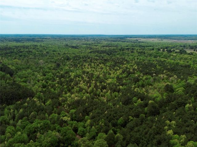 TBD County Road 2742, Naples, TX 75568