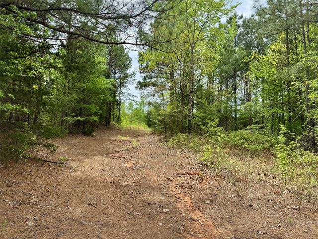 TBD County Road 2742, Naples, TX 75568