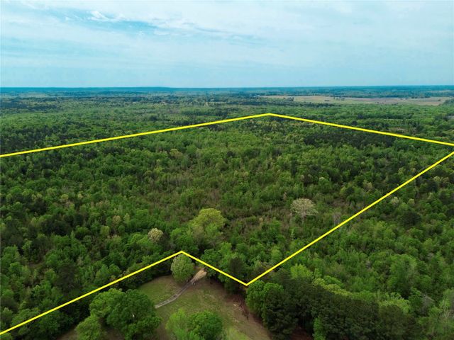 TBD County Road 2742, Naples, TX 75568