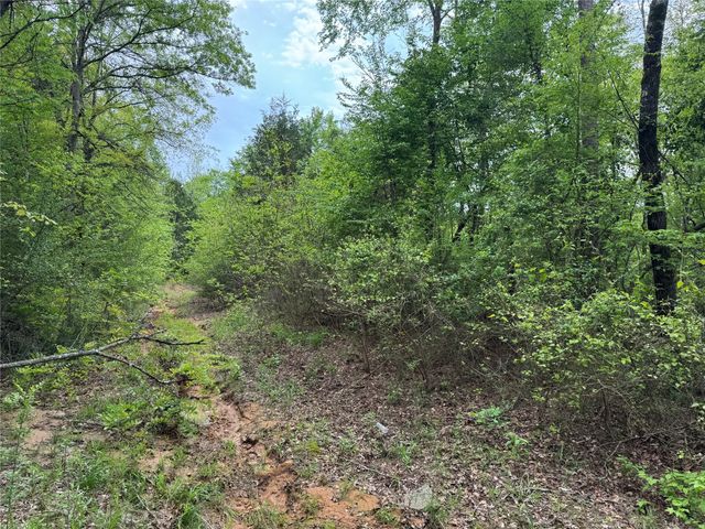 TBD County Road 2742, Naples, TX 75568