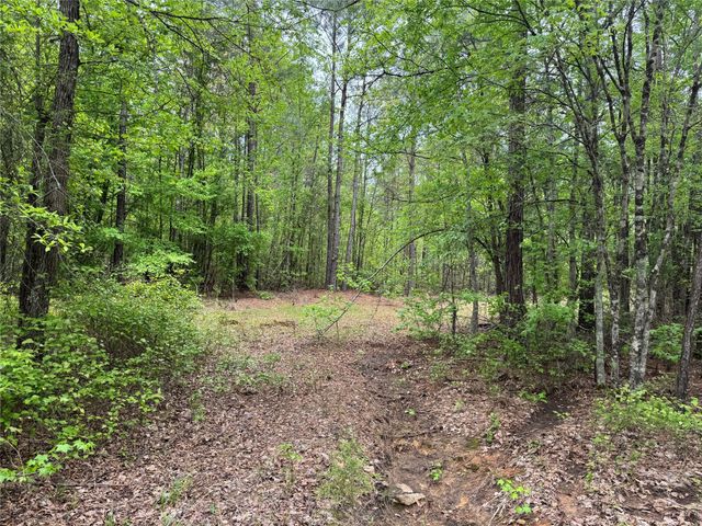 TBD County Road 2742, Naples, TX 75568