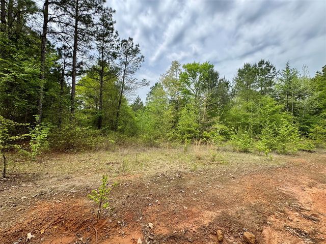 TBD County Road 2742, Naples, TX 75568