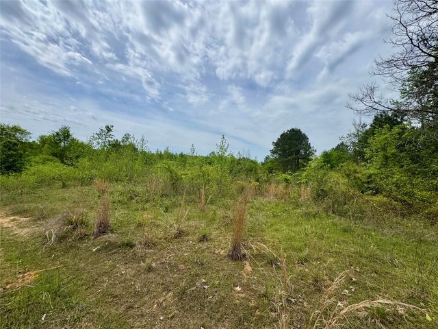 TBD County Road 2742, Naples, TX 75568