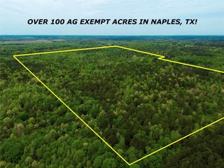 TBD County Road 2742, Naples, TX 75568