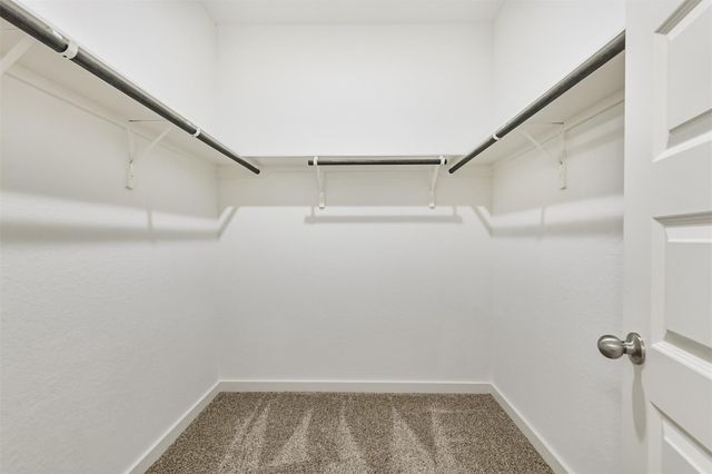 25109 Pacific Wren Drive, Magnolia, TX 77354