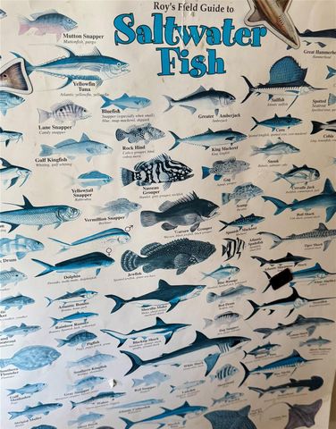 441 Cr-441f, Brazoria, TX 77422