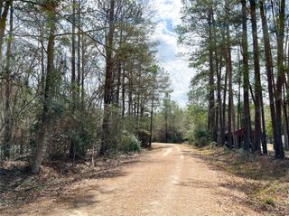 0000000000000 Fm 1746, Town Bluff, TX 77660