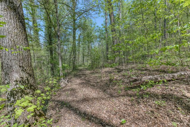 Tbd Havenmore Drive, Kingsport, TN 37663
