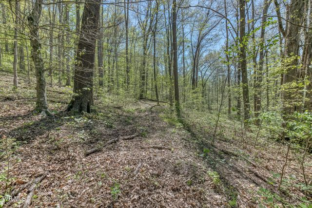 Tbd Havenmore Drive, Kingsport, TN 37663