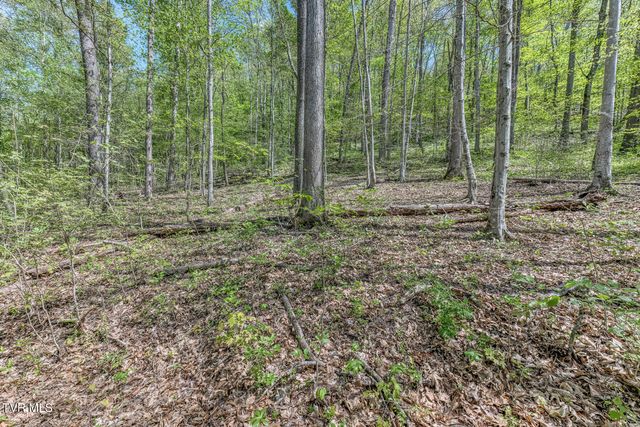Tbd Havenmore Drive, Kingsport, TN 37663
