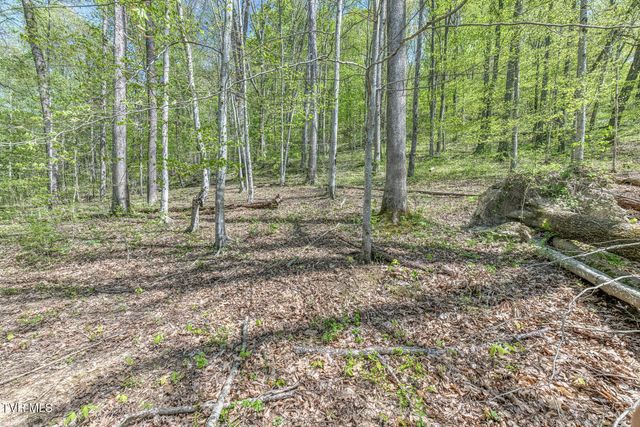 Tbd Havenmore Drive, Kingsport, TN 37663