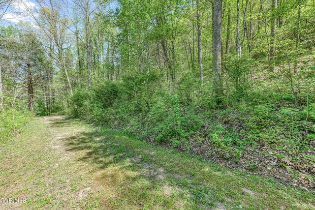 Tbd Havenmore Drive, Kingsport, TN 37663