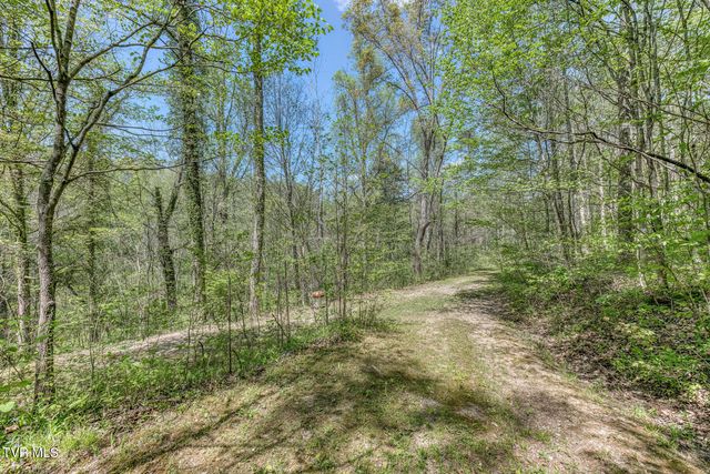 Tbd Havenmore Drive, Kingsport, TN 37663