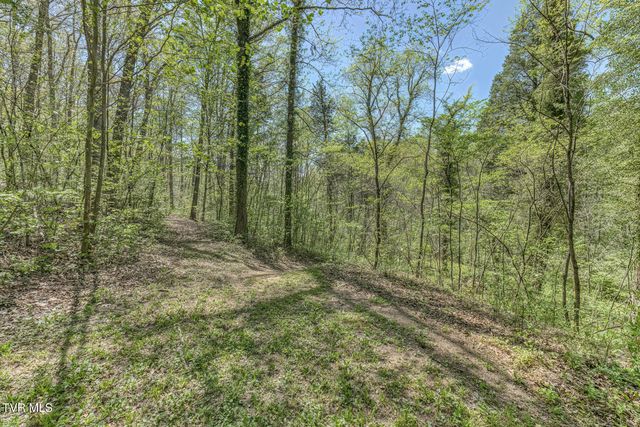 Tbd Havenmore Drive, Kingsport, TN 37663