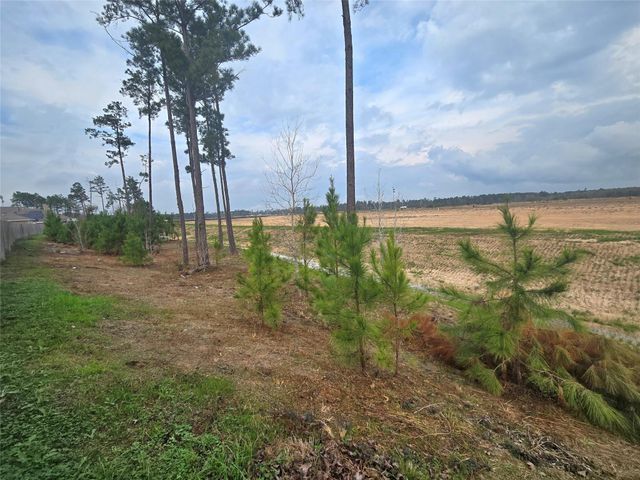 20232 Torrey Pines, Cleveland, TX 77327