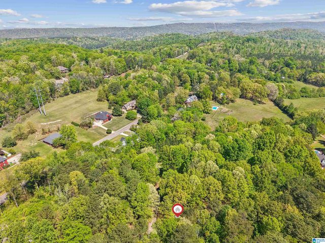 109 HERITAGE LANE, Springville, AL 35146