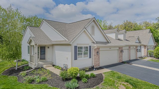 1234 Shagbark Court 1234, Fox Lake, IL 60020