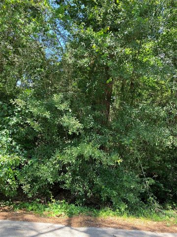 0000 Brentwood Road, Splendora, TX 77372