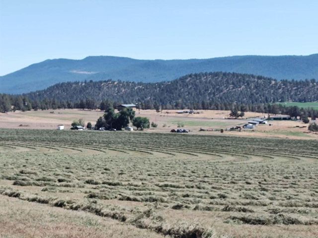 35429 McCartie Lane, Bonanza, OR 97623