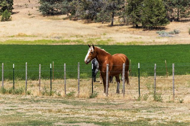 35429 McCartie Lane, Bonanza, OR 97623
